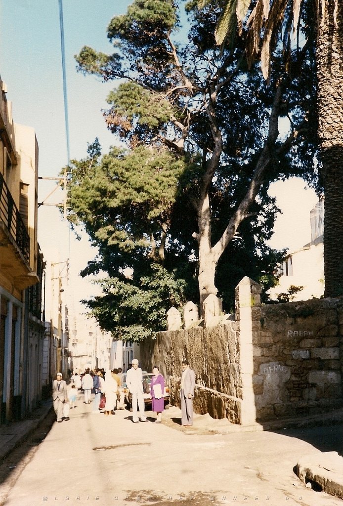 RUE ADOLPHE COUSIN ET ANGLLE RUE PERALDI.jpg